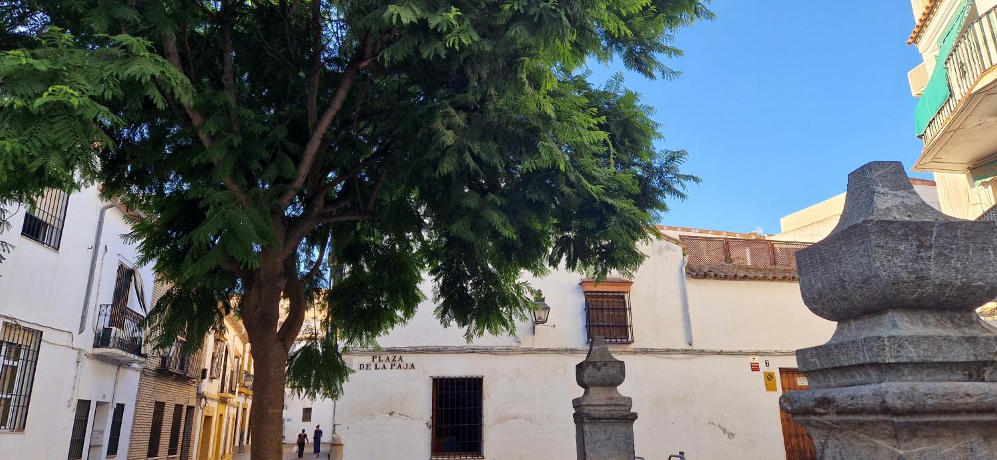 Ferienwohnung Terraza De La Axerquia Córdoba Exterior foto